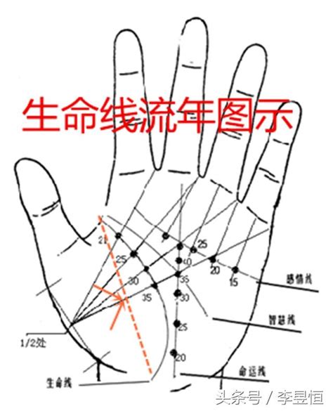 生命線旁邊多一條|手相之生命線最全面的圖解，圖文並茂，簡單易懂，聰明的你一看。